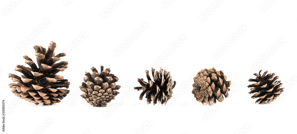 Cones On A White Background. Cones On A White Background.