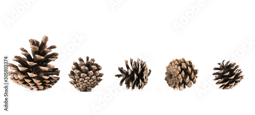 Cones On A White Background.