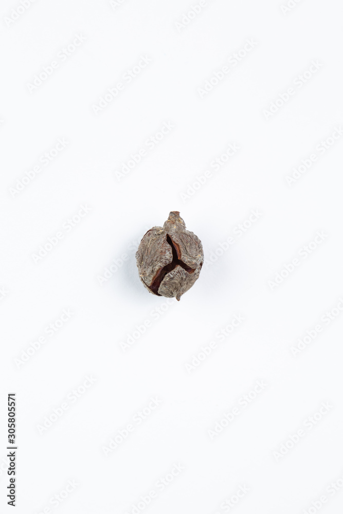 Detailshot of a single object on white ground, perfect for cropped objects, top view Detailshot of a single object on white ground, perfect for cropped objects, top view