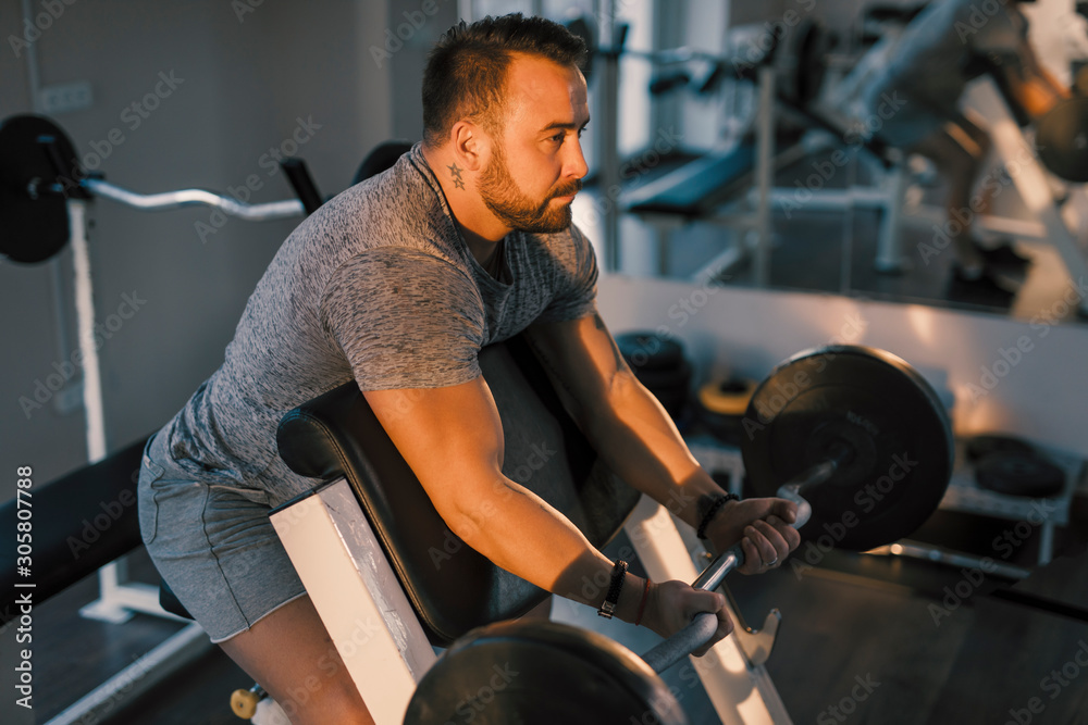 Preacher bar gym new arrivals