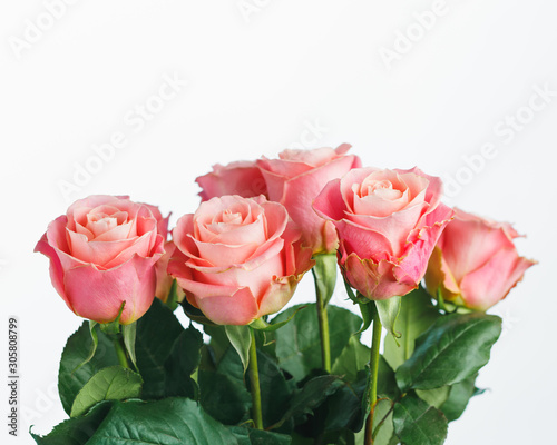 pink roses bouquet  white background
