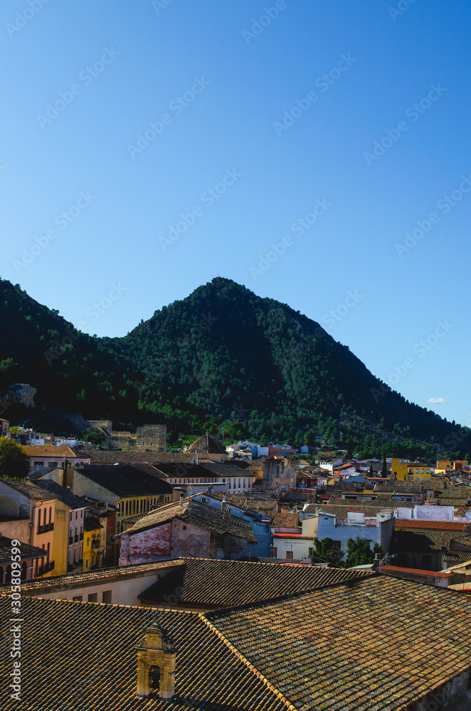 Fototapeta premium Roofs of the Houses of a Village with Green Mountain Trees in the Background