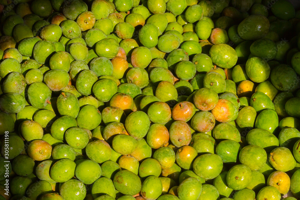 A pile of freshly harvested organic mangoes.