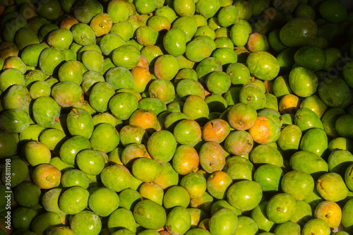 A pile of freshly harvested organic mangoes.