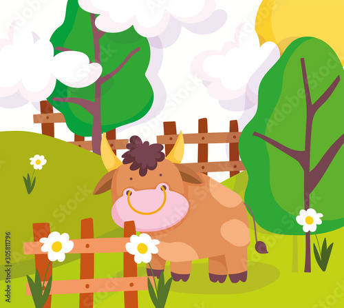 farm animals bull behind wooden fence tree flowers