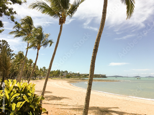 Fototapeta Naklejka Na Ścianę i Meble -  Sandy beach with palm trees, Airlie Beach, Whitsundays, Queensland Australia