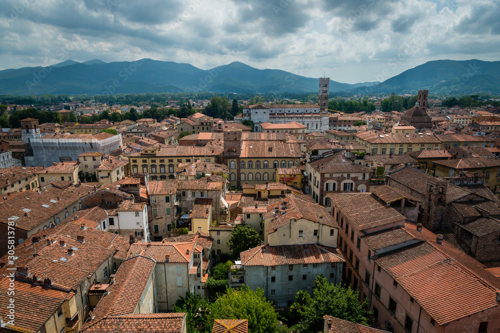 Vue de puis la  Torre Guinigi à Lucca en Italie