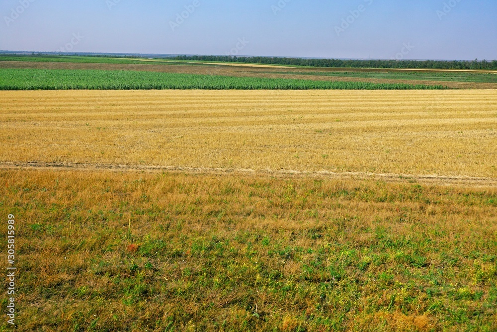 Background with field and blue sky Background with field and blue sky