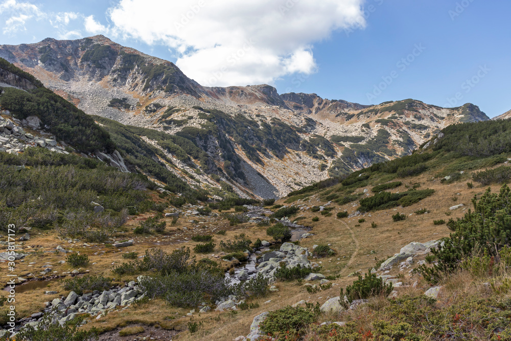 landscape with mountain river, Pirin Mountain, Bulgaria landscape with mountain river, Pirin Mountain, Bulgaria