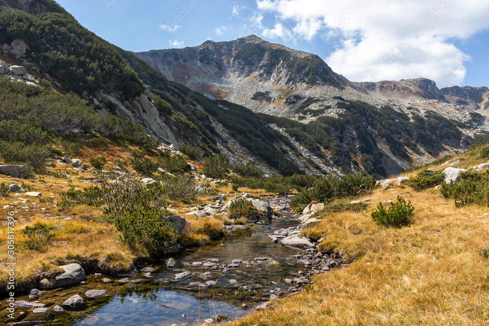 landscape with mountain river, Pirin Mountain, Bulgaria landscape with mountain river, Pirin Mountain, Bulgaria