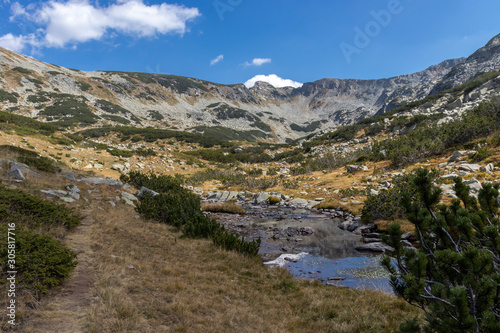 landscape with mountain river, Pirin Mountain, Bulgaria