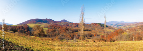 rural grassy fields on hills in gorgeous mountains. stunning panorama of countryside landscape in autumn. sunny weather. trees in laff foliage. cloudless sky
