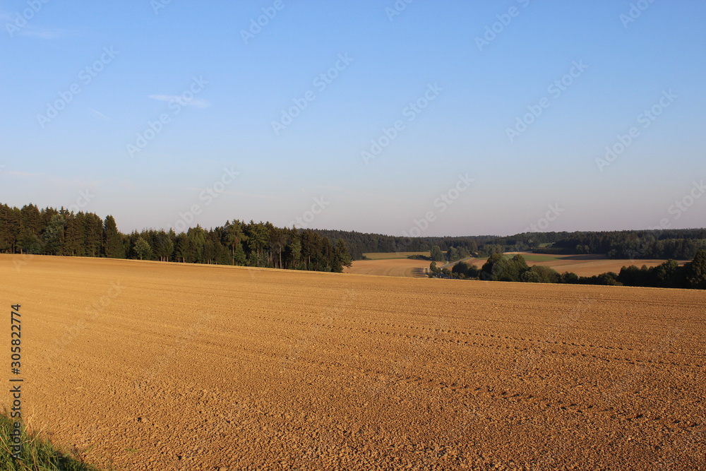 Landscape with field and blue sky, Germany, Bavaria