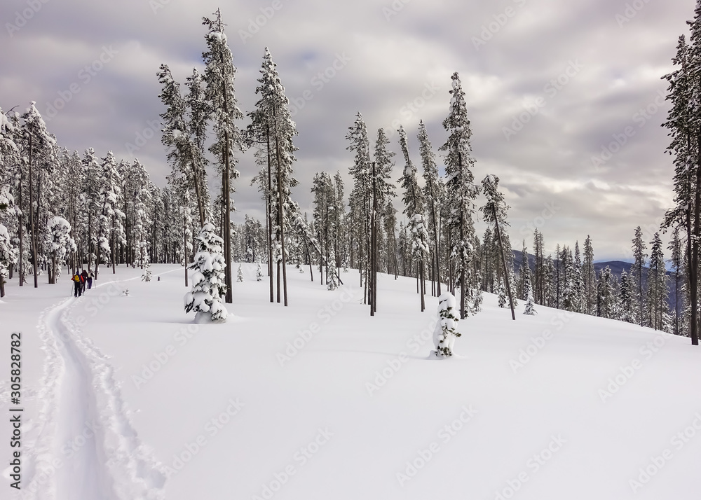 Maintaining An Active Lifestyle During Winter - Cross Country Skiing Maintaining An Active Lifestyle During Winter - Cross Country Skiing