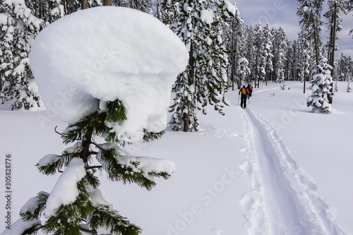 Maintaining An Active Lifestyle During Winter - Cross Country Skiing