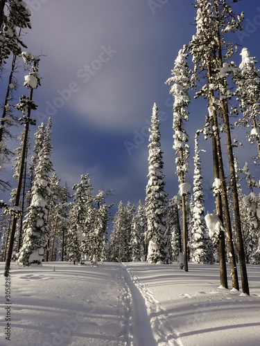 Maintaining An Active Lifestyle During Winter - Cross Country Skiing