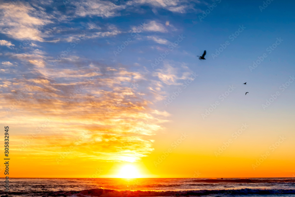 Birds Flying in Sky at Sunset at Beach Birds Flying in Sky at Sunset at Beach