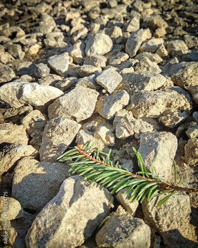 stone 