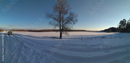 winter landscape with trees and blue sky
