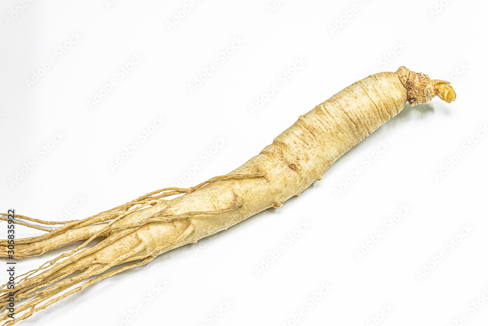 Changbai Mountain ginseng in white background Changbai Mountain ginseng in white background