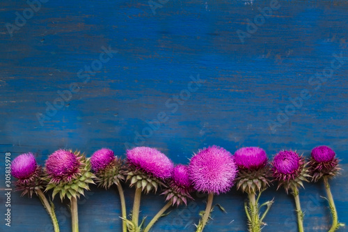 decorative border with thistle flowers on blue rustic wood