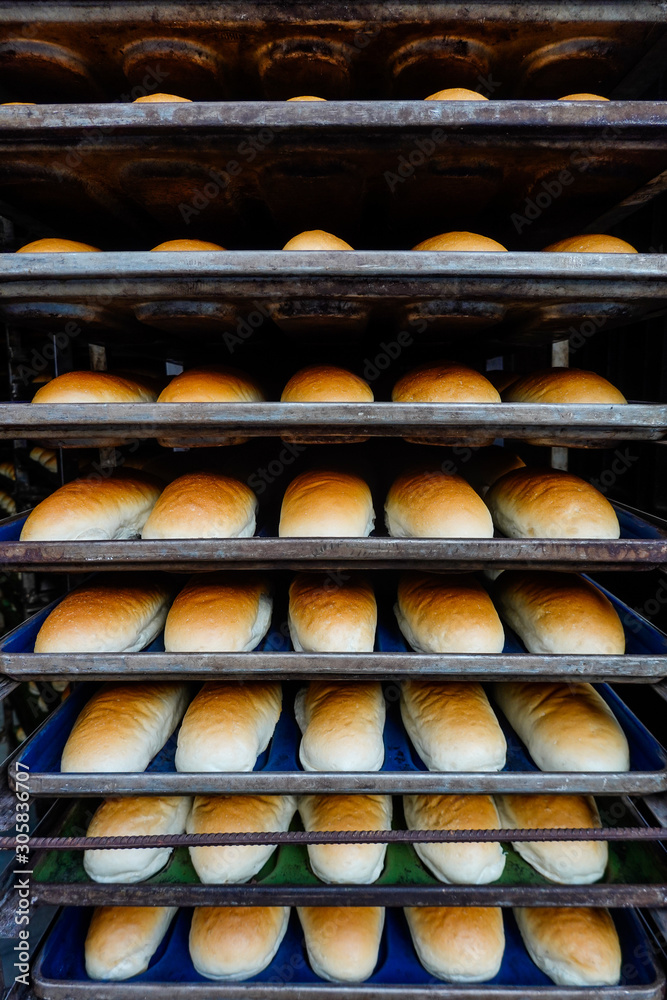 Istanbul, Turkey Fresh bread on trays at a bakery shop