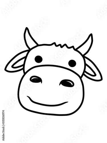 stier kuh gesicht 