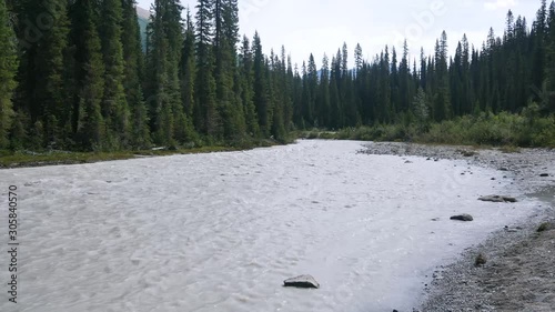 POV White river from Takakkaw Water Falls in Banff national park, Alberta,Canada/ Summer river from rockie mountain among pine tree forest photo