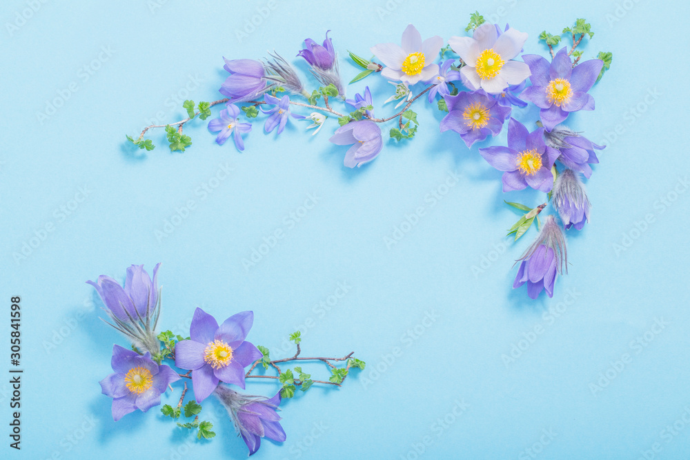 beautiful spring flowers on blue background