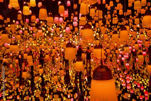Photography TeamLab Borderless Digital Art Museum