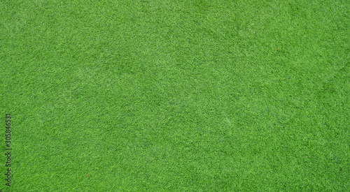 Green grass screen for background
