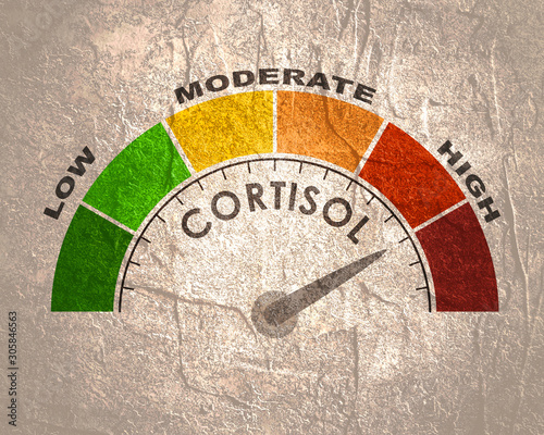 Hormone cortisol level measuring scale. Health care concept illustration. photo