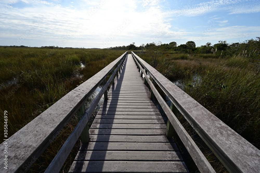 Pa Hay Okee Boardwalk in Everglades National Park, Florida on a sunny winter morning.