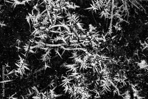 black and white winter frost ice abstract background   dark frozen cold texture  crystallized water on a ground grass  beautiful crystal wallpaper close up