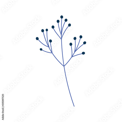 Isolated leaves drawing vector design