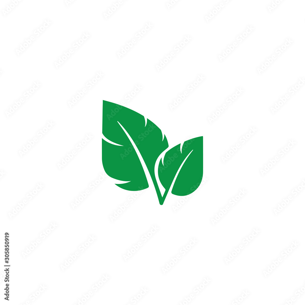 green leaf ecology nature element green leaf ecology nature element