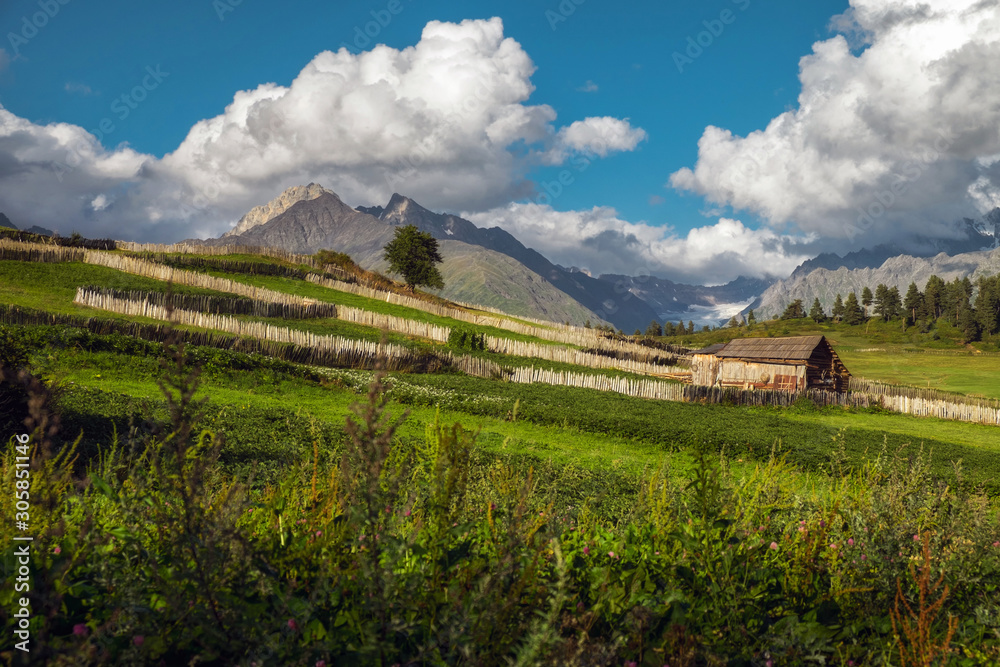 Picturesque landscape with meadows and shepherd's house high in mountains on a sunny day