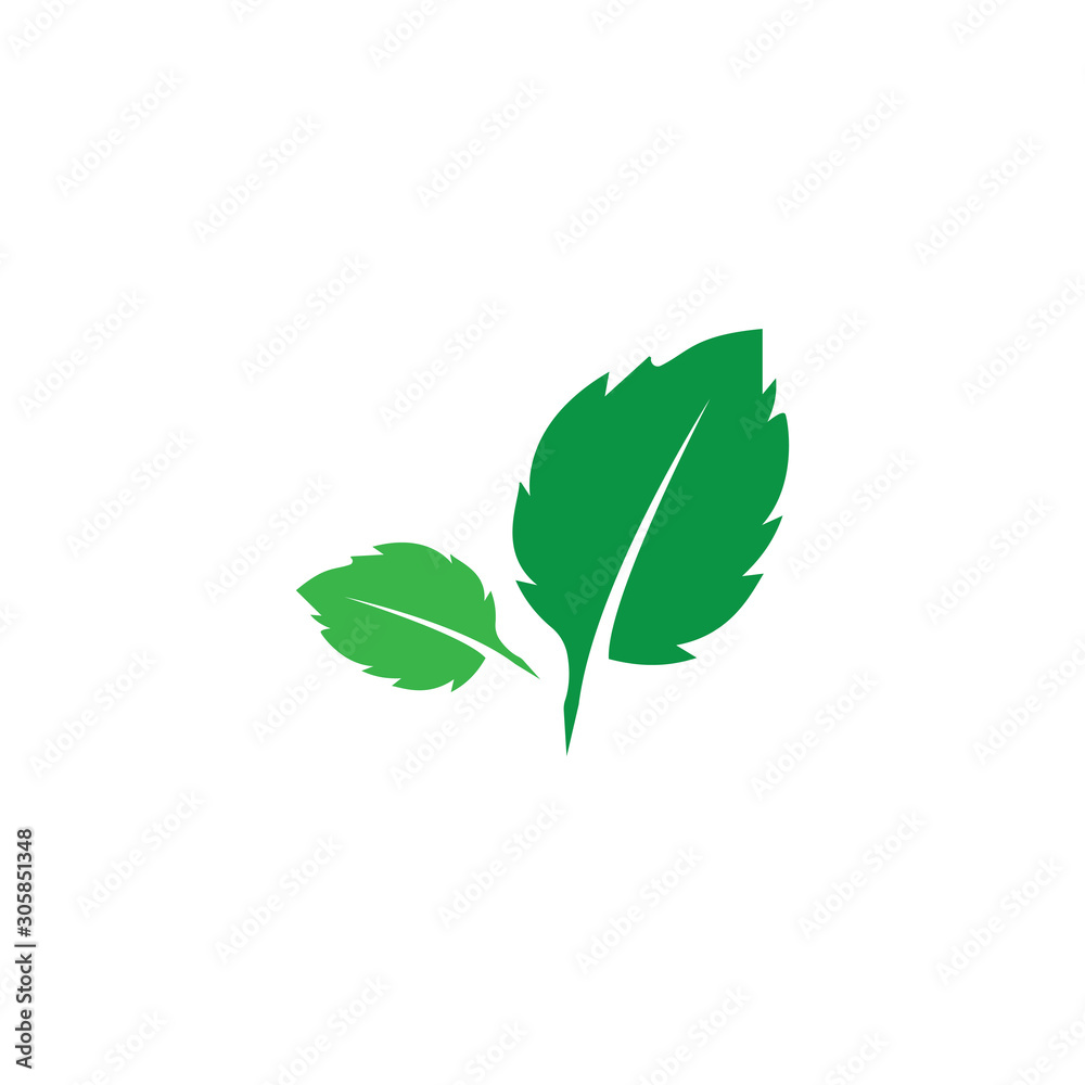 green leaf ecology nature element green leaf ecology nature element