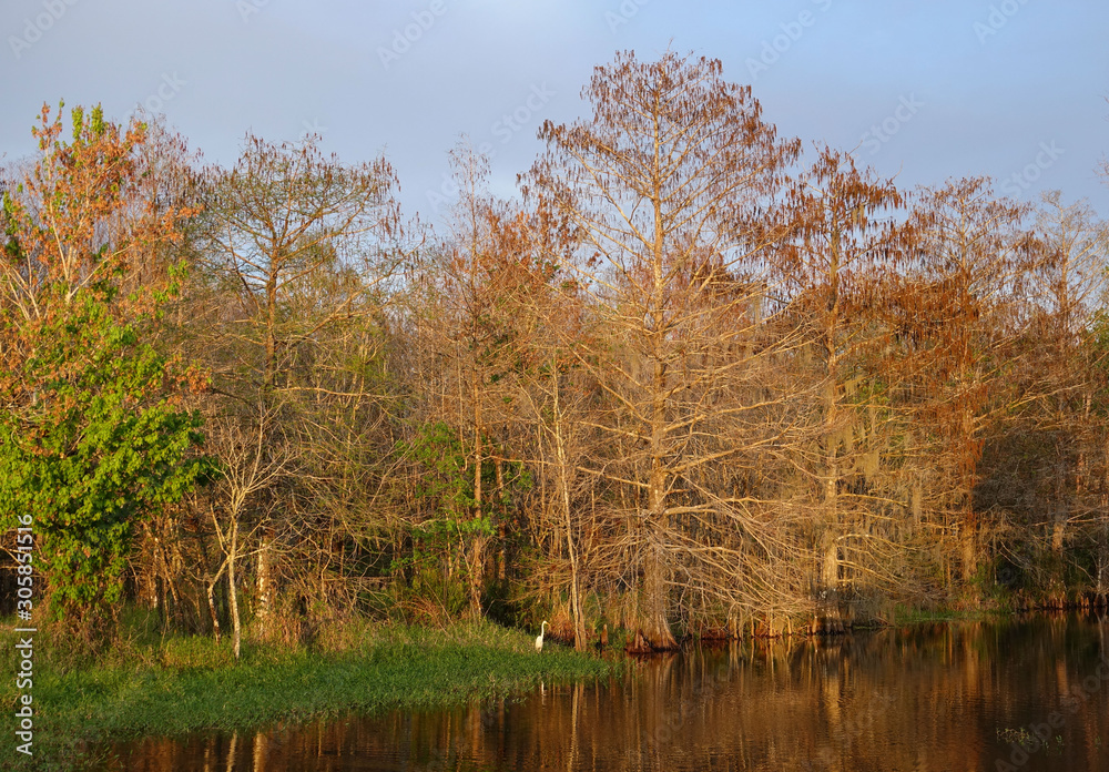 Sunset On Pond at Bird Rookery Swamp Trailhead Sunset On Pond at Bird Rookery Swamp Trailhead