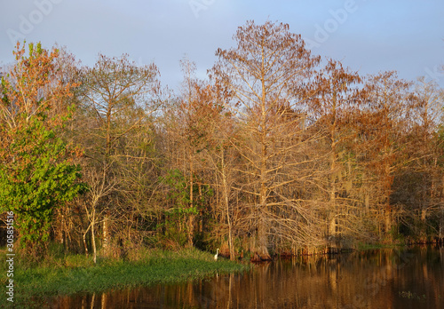 Sunset On Pond at Bird Rookery Swamp Trailhead