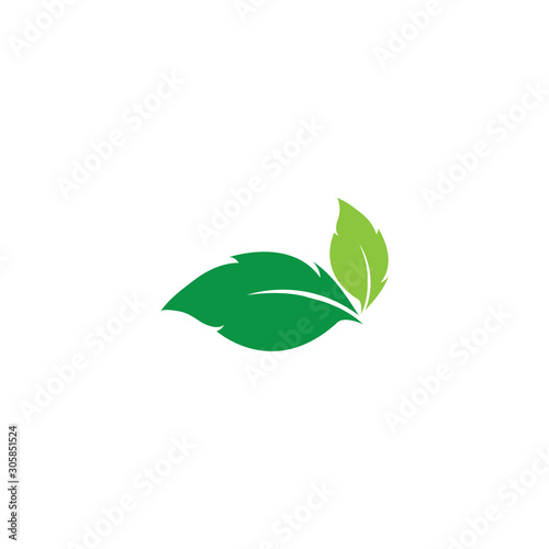 Fototapeta Naklejka Na Ścianę i Meble -  green leaf ecology nature element
