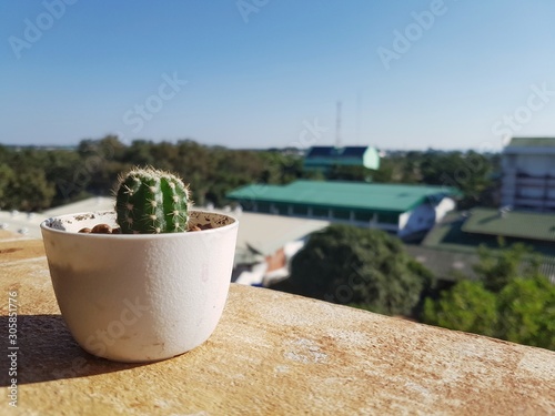 The small diamond cylinder in a pot 