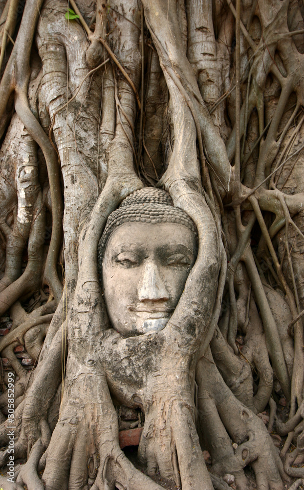 face of buddha in ayutthaya thailand