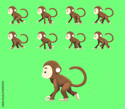 Cute Monkey Animation Walking Cartoon Vector