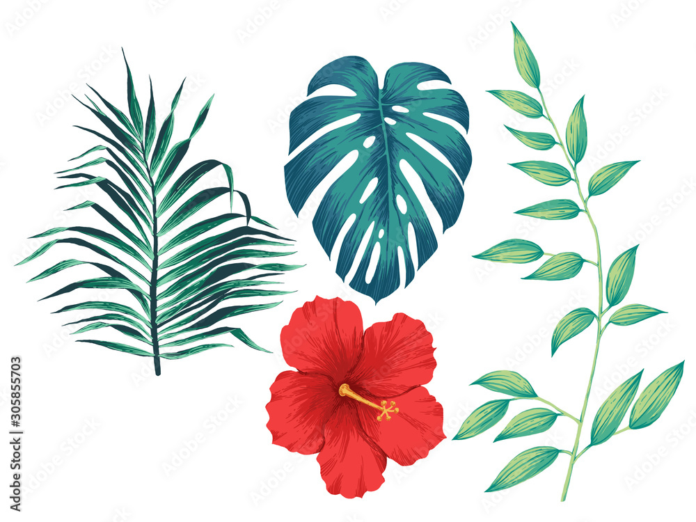 Tropical plants set. Can be used as print, postcard, packaging design, element design, template, textile design, sticker, tattoo and so on.