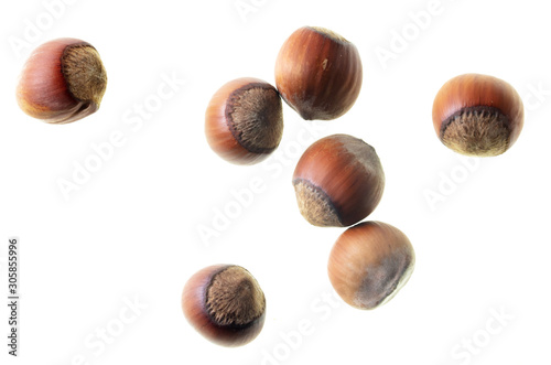 Hazelnuts nuts isolated on a white background