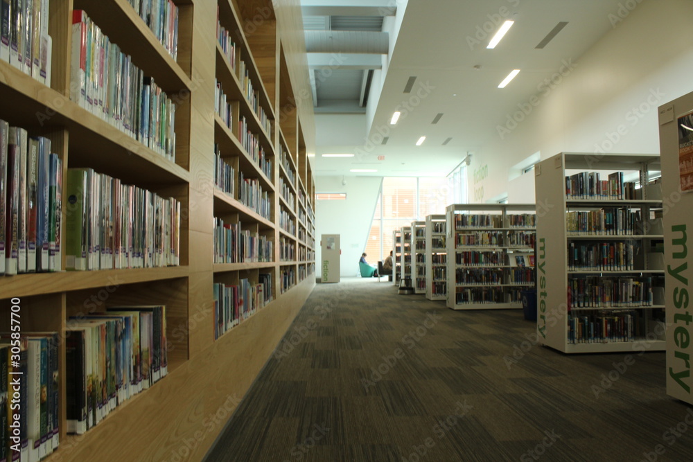 Obraz premium library