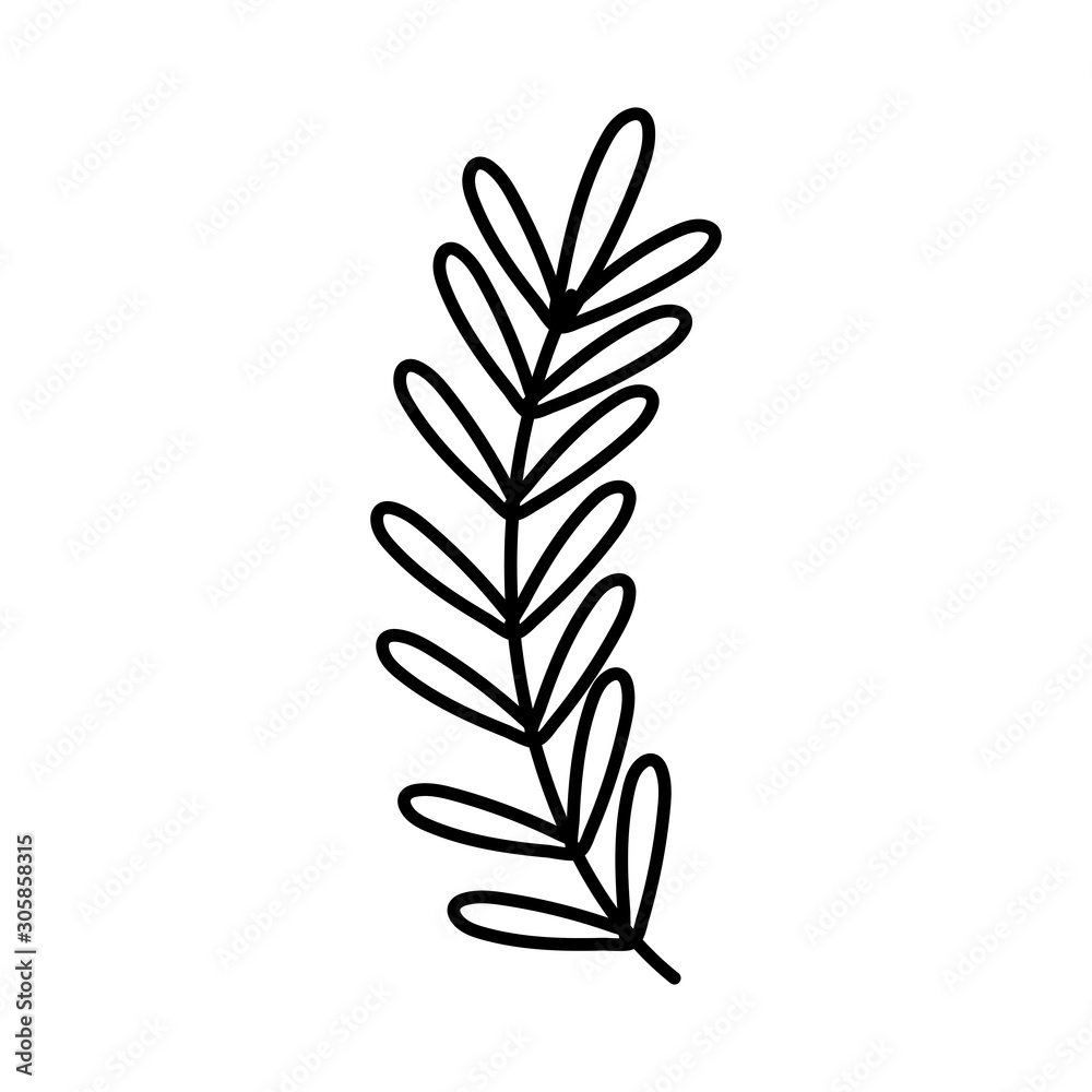 branch leaves nature on white background thick line