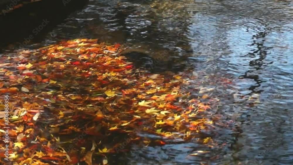 マゼノ渓谷の紅葉 マゼノ渓谷の紅葉