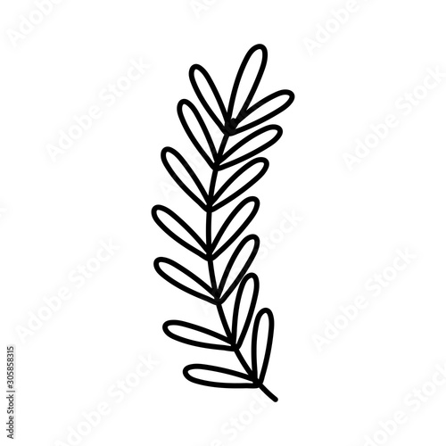 branch leaves nature on white background thick line